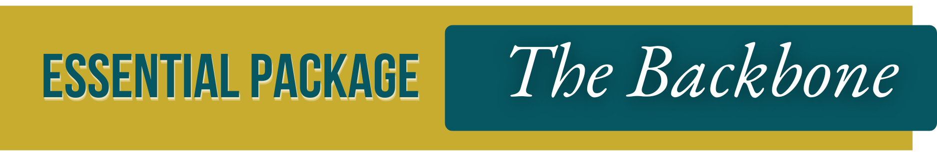 GirlFriday Business Solutions Essential Package offers