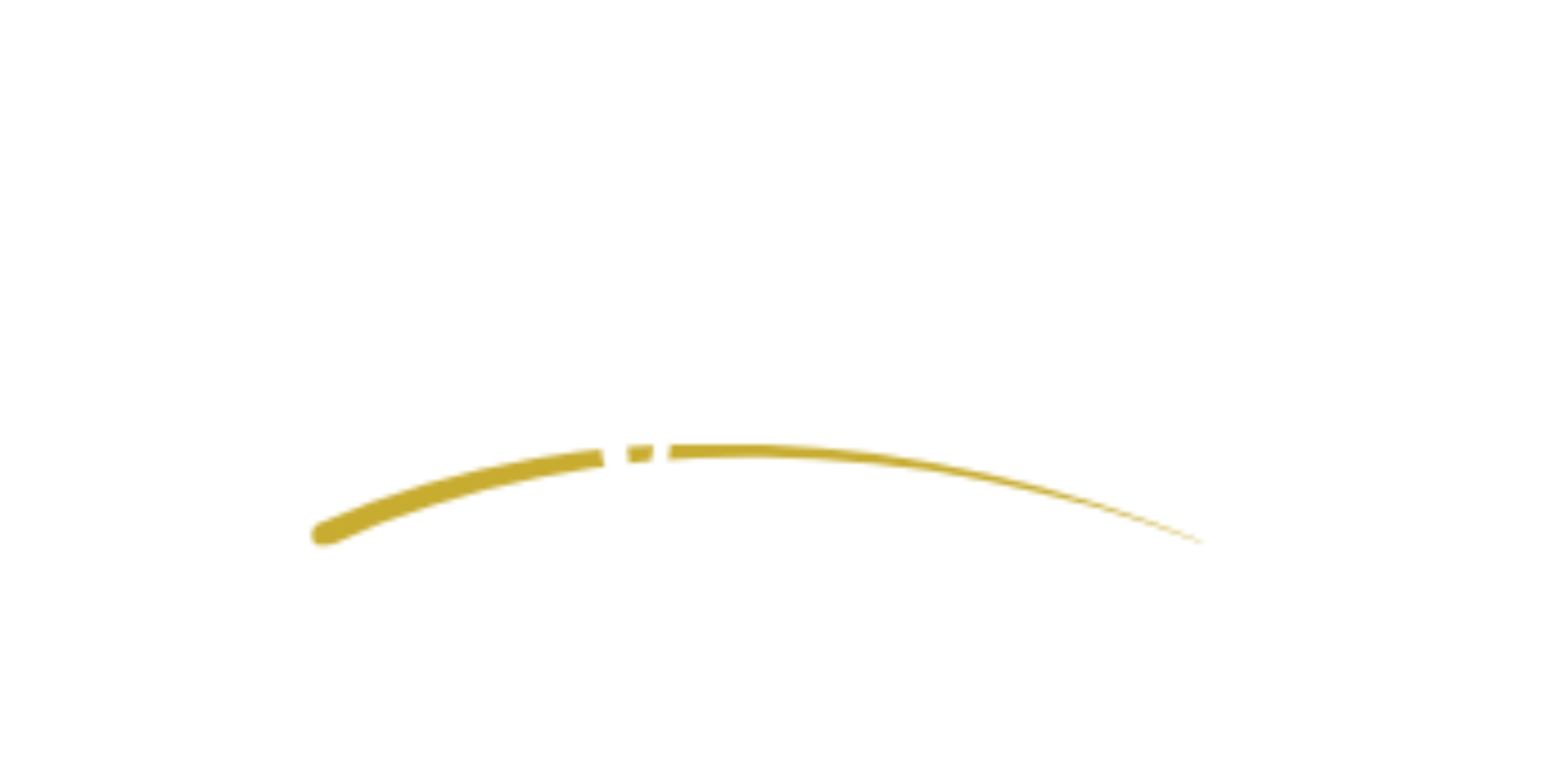GirlFriday Business Solutions official logo in white script with a gold accent arc.